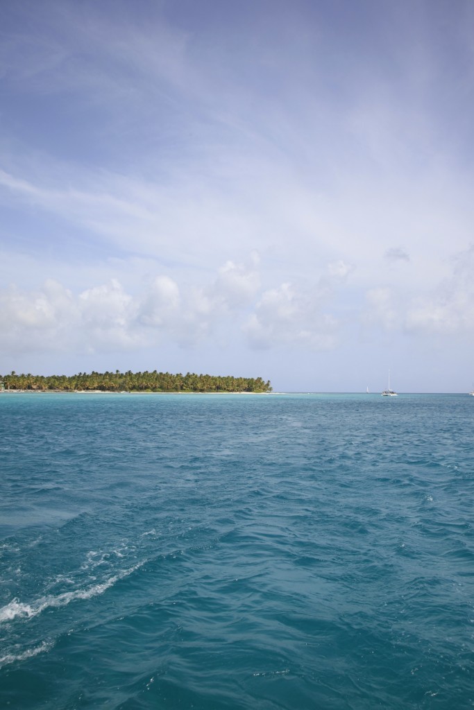 _MG_0557a