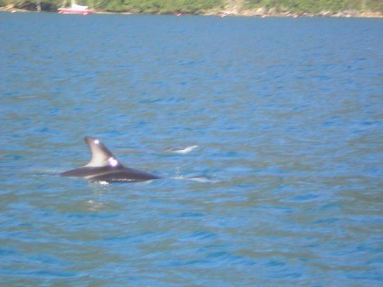 large_20081004032922nA