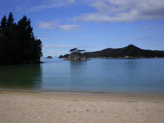 large_20081004035239gC