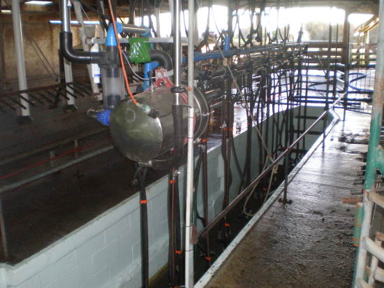 d. 13/09-2008 – Farm og Rotorua