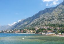 Kotor